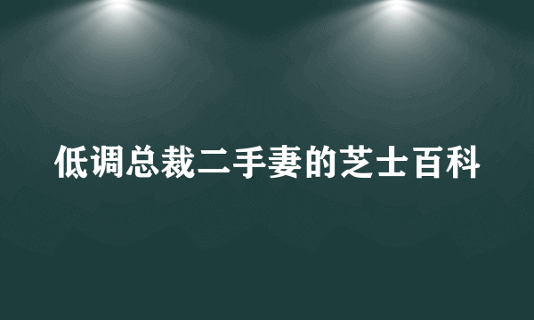 低调总裁二手妻的芝士百科