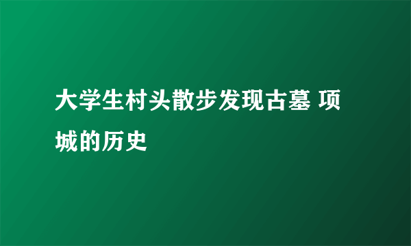 大学生村头散步发现古墓 项城的历史