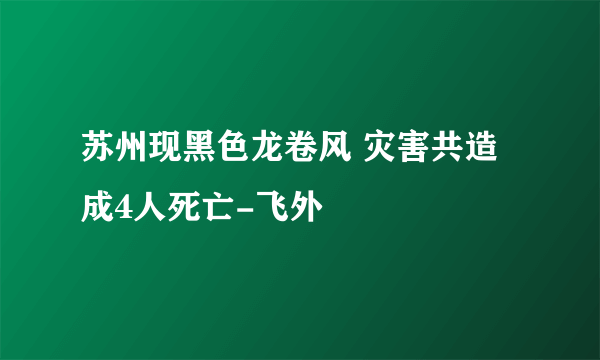 苏州现黑色龙卷风 灾害共造成4人死亡-飞外