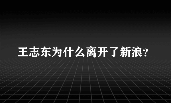 王志东为什么离开了新浪？