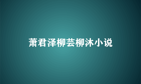 萧君泽柳芸柳沐小说