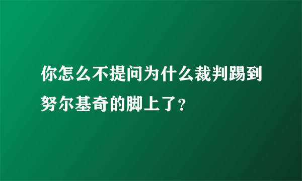 你怎么不提问为什么裁判踢到努尔基奇的脚上了？