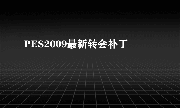 PES2009最新转会补丁