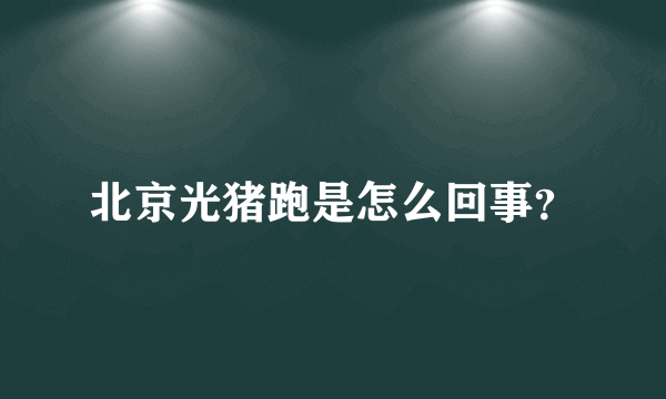 北京光猪跑是怎么回事？