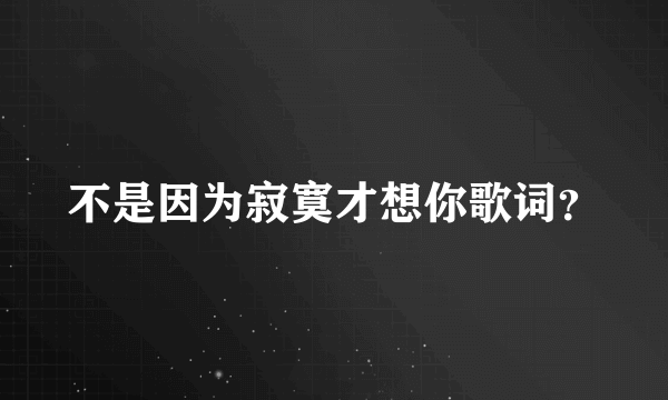 不是因为寂寞才想你歌词？