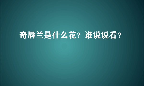 奇唇兰是什么花？谁说说看？