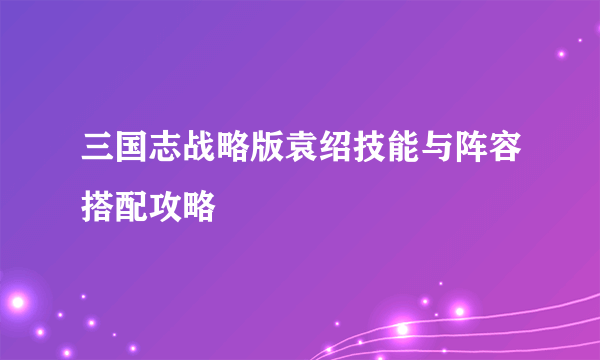 三国志战略版袁绍技能与阵容搭配攻略