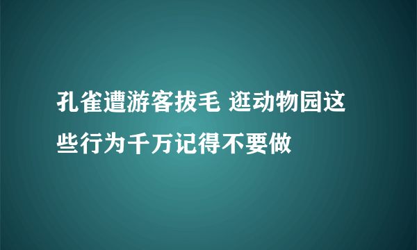 孔雀遭游客拔毛 逛动物园这些行为千万记得不要做