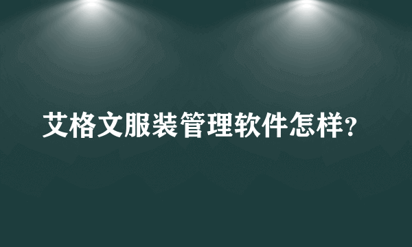 艾格文服装管理软件怎样？