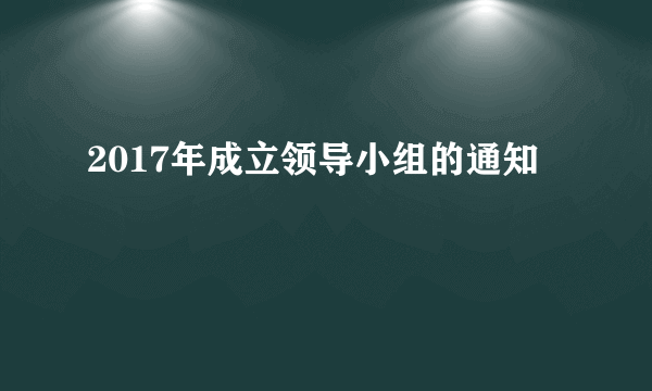 2017年成立领导小组的通知