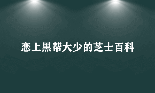 恋上黑帮大少的芝士百科