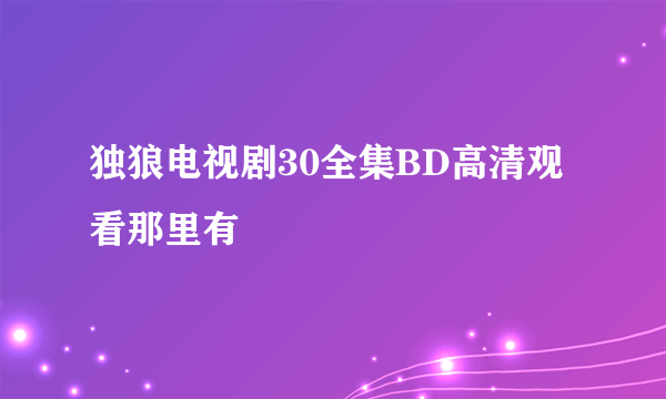 独狼电视剧30全集BD高清观看那里有