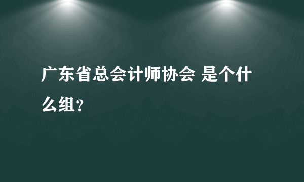 广东省总会计师协会 是个什么组？