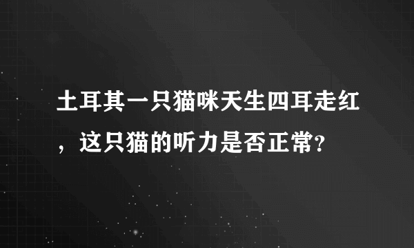 土耳其一只猫咪天生四耳走红，这只猫的听力是否正常？