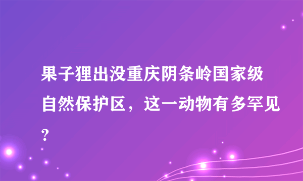 果子狸出没重庆阴条岭国家级自然保护区，这一动物有多罕见？