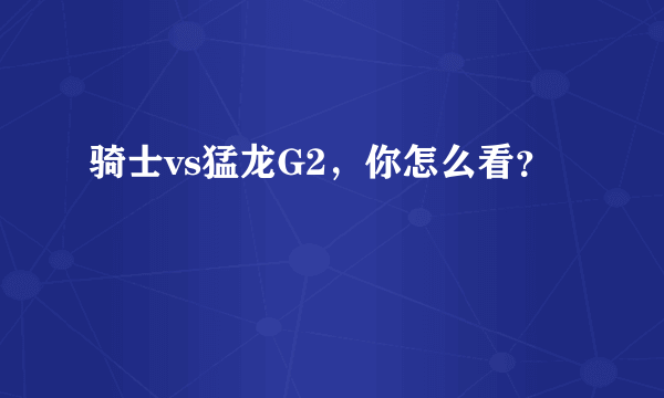 骑士vs猛龙G2，你怎么看？