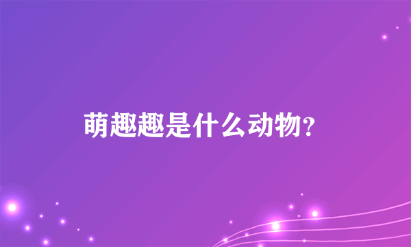 萌趣趣是什么动物？