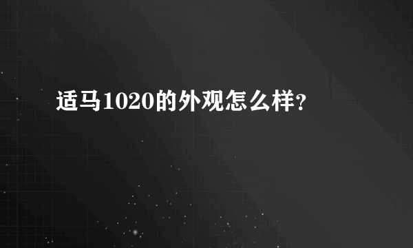 适马1020的外观怎么样？