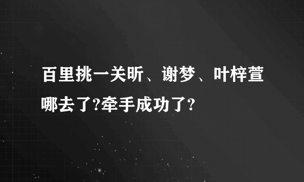 百里挑一关昕、谢梦、叶梓萱哪去了?牵手成功了?