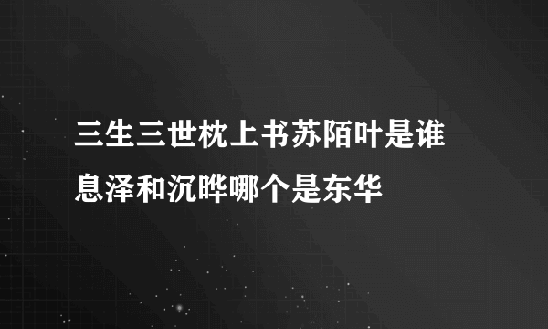 三生三世枕上书苏陌叶是谁 息泽和沉晔哪个是东华