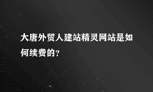 大唐外贸人建站精灵网站是如何续费的？