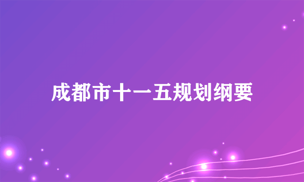 成都市十一五规划纲要