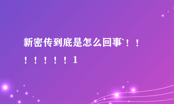 新密传到底是怎么回事`！！！！！！！1