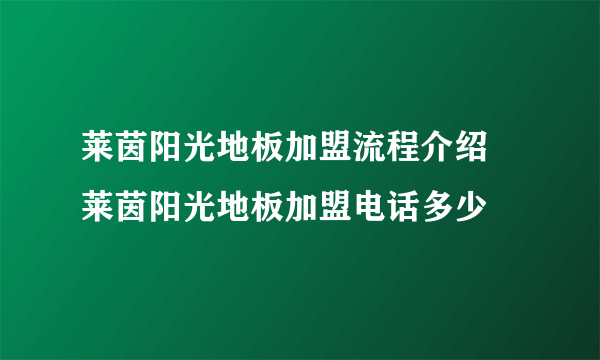 莱茵阳光地板加盟流程介绍 莱茵阳光地板加盟电话多少