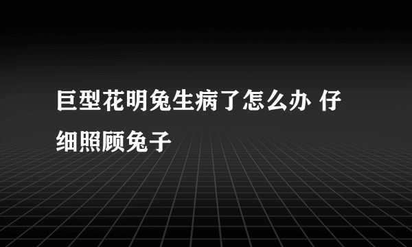 巨型花明兔生病了怎么办 仔细照顾兔子