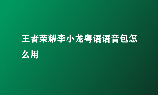 王者荣耀李小龙粤语语音包怎么用