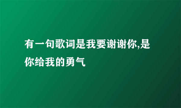 有一句歌词是我要谢谢你,是你给我的勇气