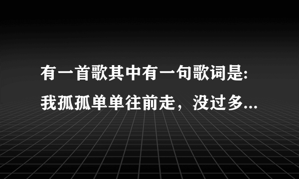 有一首歌其中有一句歌词是:我孤孤单单往前走，没过多久就低下头。歌名是什么？