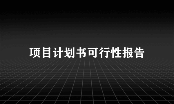 项目计划书可行性报告