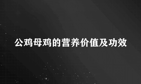 公鸡母鸡的营养价值及功效