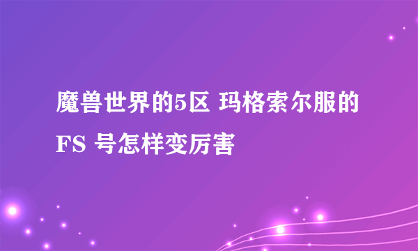 魔兽世界的5区 玛格索尔服的FS 号怎样变厉害