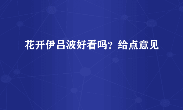 花开伊吕波好看吗？给点意见