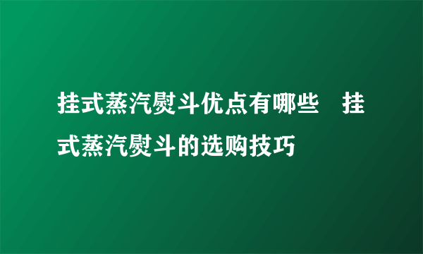 挂式蒸汽熨斗优点有哪些   挂式蒸汽熨斗的选购技巧