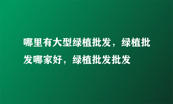 哪里有大型绿植批发，绿植批发哪家好，绿植批发批发