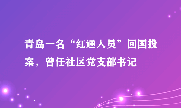 青岛一名“红通人员”回国投案，曾任社区党支部书记