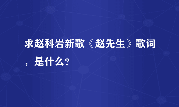 求赵科岩新歌《赵先生》歌词，是什么？