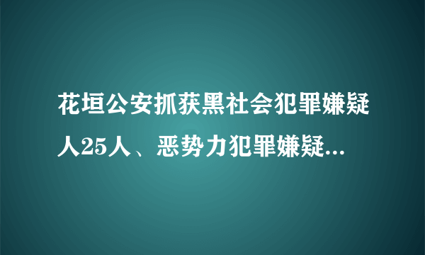 花垣公安抓获黑社会犯罪嫌疑人25人、恶势力犯罪嫌疑人18人！