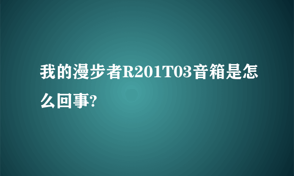 我的漫步者R201T03音箱是怎么回事?