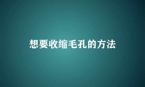 想要收缩毛孔的方法