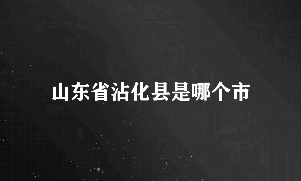 山东省沾化县是哪个市