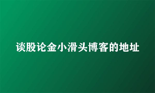 谈股论金小滑头博客的地址