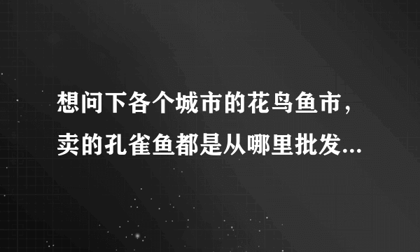 想问下各个城市的花鸟鱼市，卖的孔雀鱼都是从哪里批发的？通过什么渠道批发的？本人想养殖孔雀鱼繁殖批发？