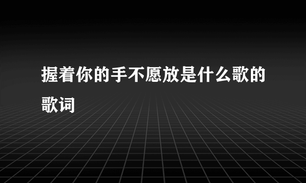 握着你的手不愿放是什么歌的歌词