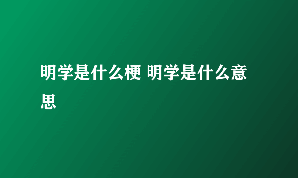 明学是什么梗 明学是什么意思