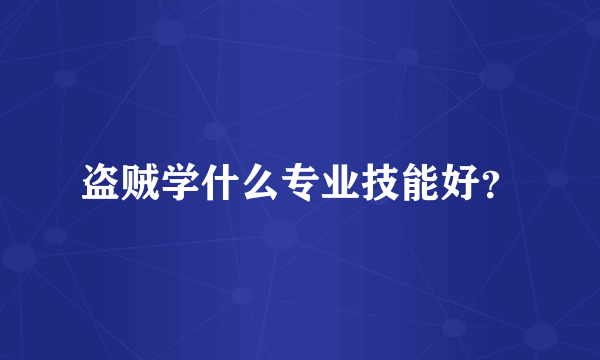 盗贼学什么专业技能好？