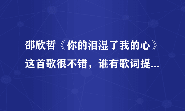 邵欣哲《你的泪湿了我的心》这首歌很不错，谁有歌词提供我下，谢谢!